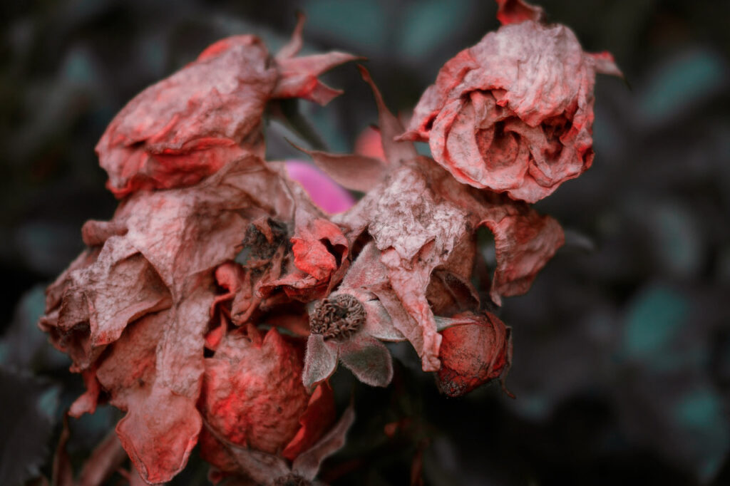 la corrupción del PSOE